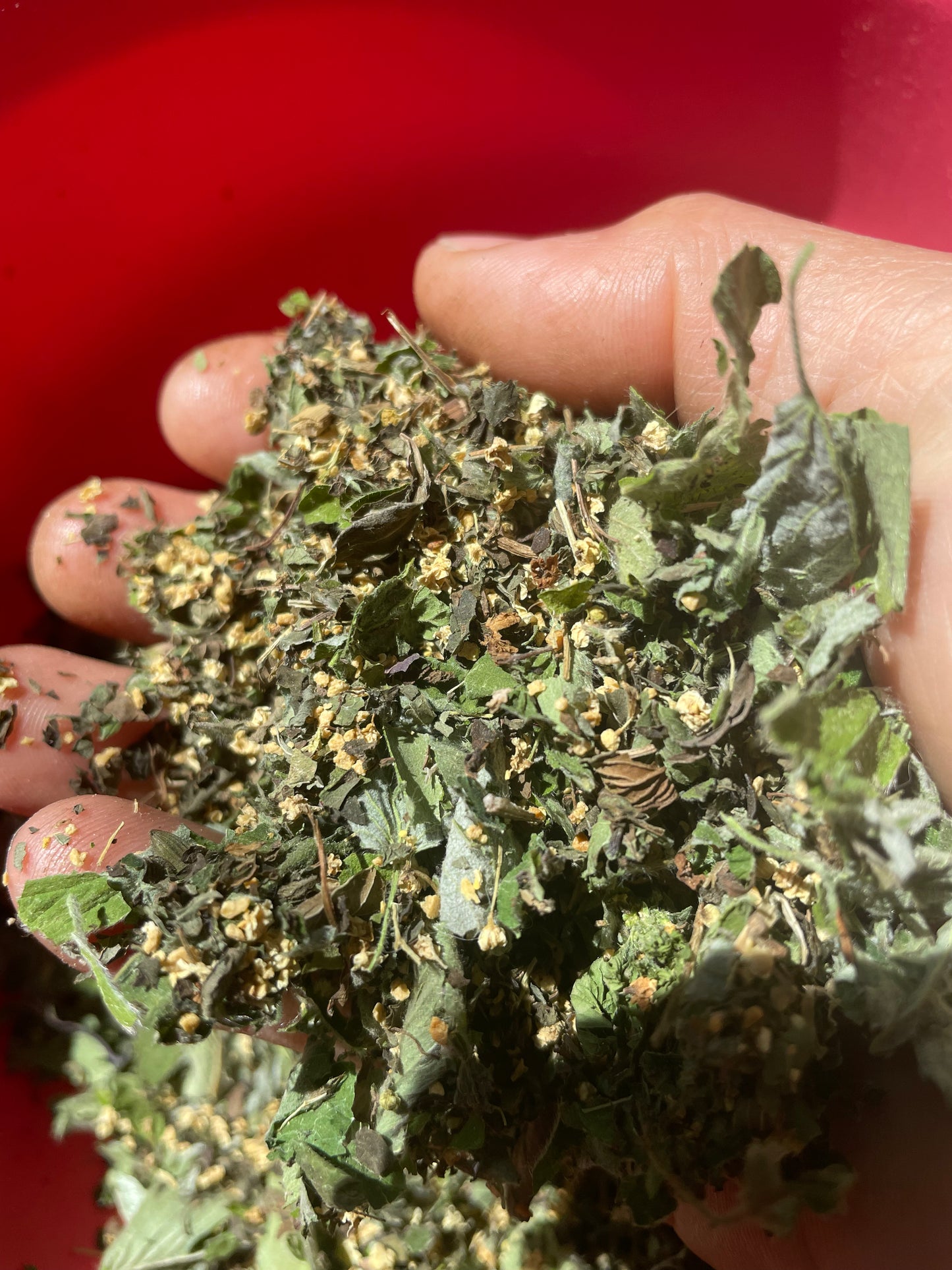 Strawberry Grove Herbal Tea