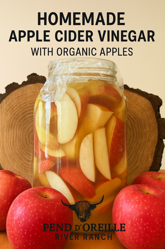 How to Make Apple Cider Vinegar at Home — A Simple, Seasonal Tradition
