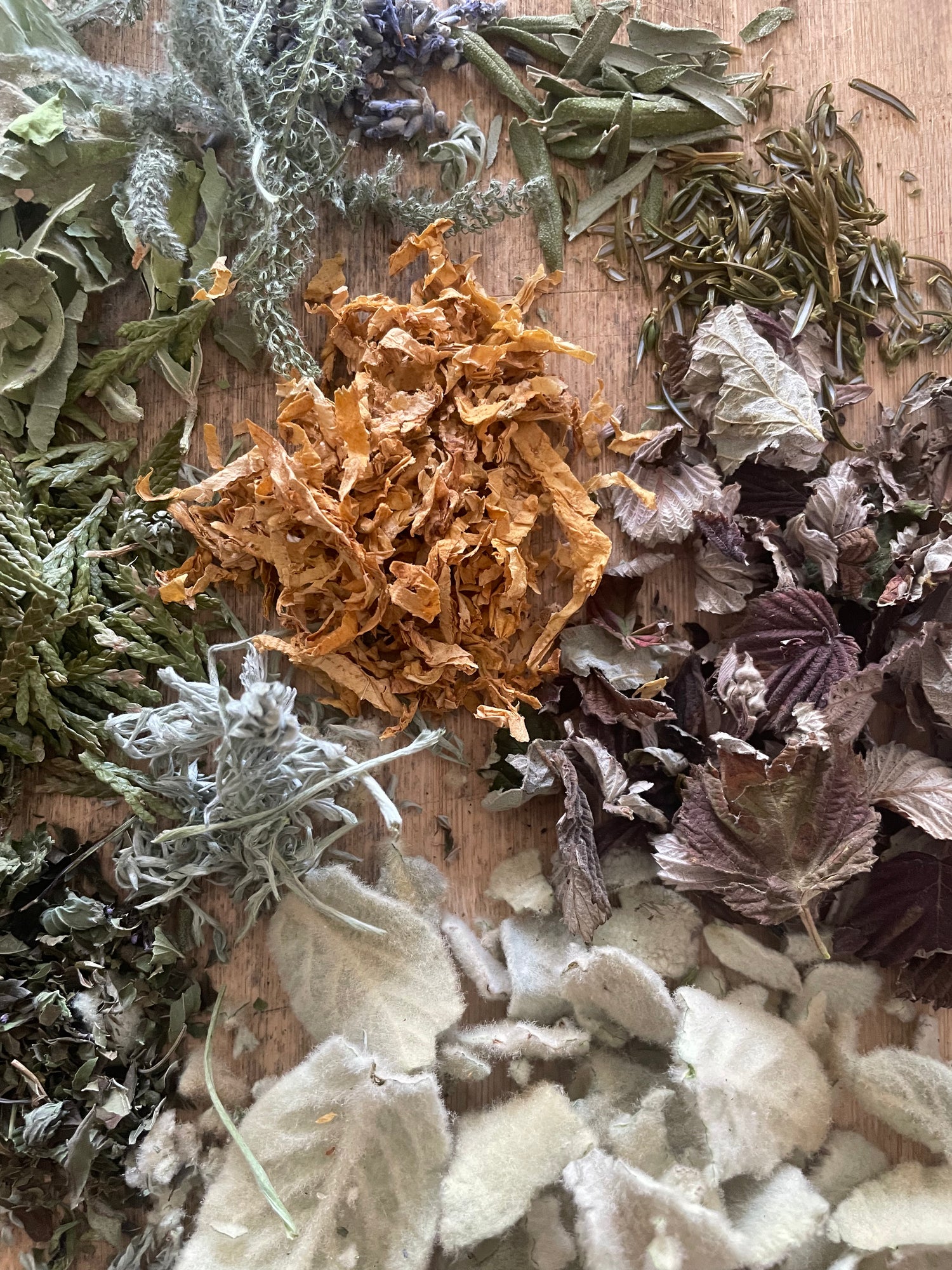 Whispers of the Wild Sacred Smoke Collection